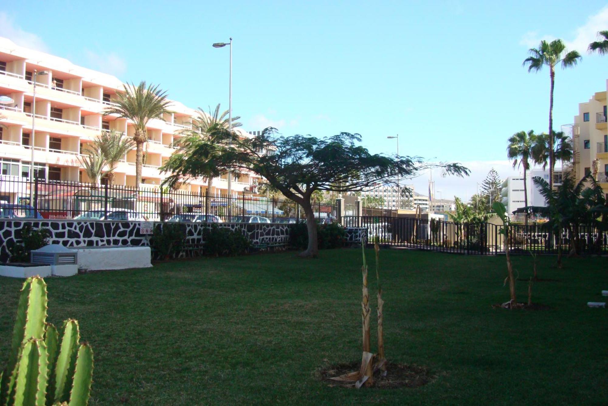 Los Cactus Playa del Inglés Esterno foto